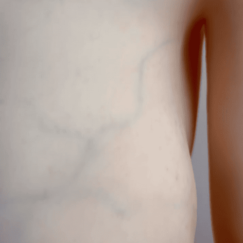 Méridiens Humains Réaliste